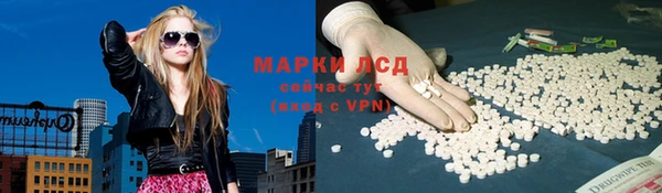 spice Алзамай