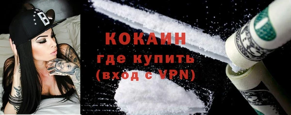 тгк Абаза