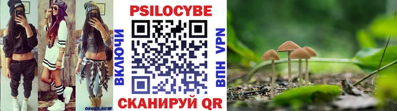 Галлюциногенные грибы Psilocybine cubensis  наркота  Сусуман 